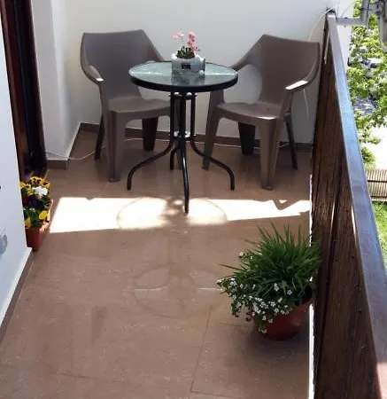 Callatis - Adults Only